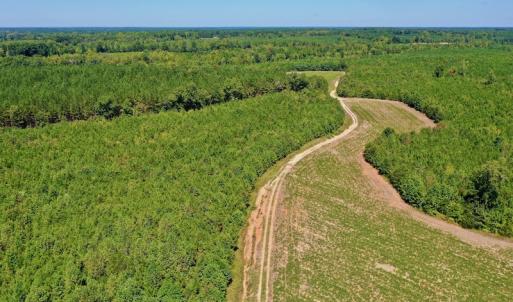 Photo #20 of SOLD property in Off Dennis Harris Rd, Macon, NC 138.1 acres