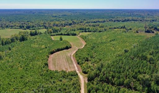 Photo #3 of SOLD property in Off Dennis Harris Rd, Macon, NC 138.1 acres
