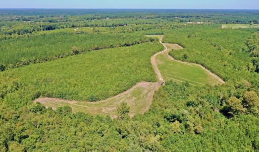 Photo #4 of SOLD property in Off Dennis Harris Rd, Macon, NC 138.1 acres