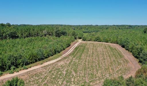 Photo #5 of SOLD property in Off Dennis Harris Rd, Macon, NC 138.1 acres