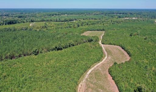 Photo #22 of SOLD property in Off Dennis Harris Rd, Macon, NC 138.1 acres