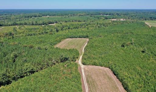 Photo #24 of SOLD property in Off Dennis Harris Rd, Macon, NC 138.1 acres
