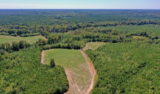 Photo #26 of SOLD property in Off Dennis Harris Rd, Macon, NC 138.1 acres