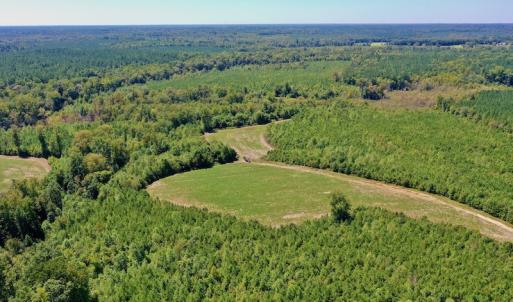 Photo #27 of SOLD property in Off Dennis Harris Rd, Macon, NC 138.1 acres