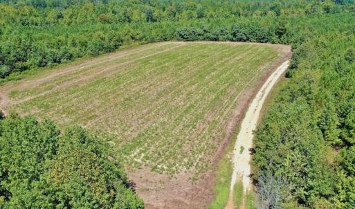 Photo #29 of SOLD property in Off Dennis Harris Rd, Macon, NC 138.1 acres
