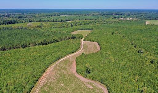 Photo #30 of SOLD property in Off Dennis Harris Rd, Macon, NC 138.1 acres