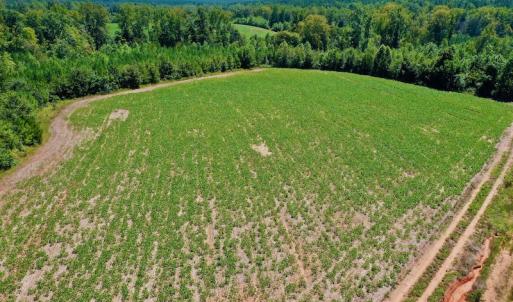 Photo #31 of SOLD property in Off Dennis Harris Rd, Macon, NC 138.1 acres
