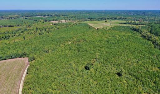 Photo #32 of SOLD property in Off Dennis Harris Rd, Macon, NC 138.1 acres