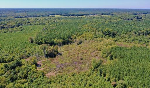 Photo #33 of SOLD property in Off Dennis Harris Rd, Macon, NC 138.1 acres