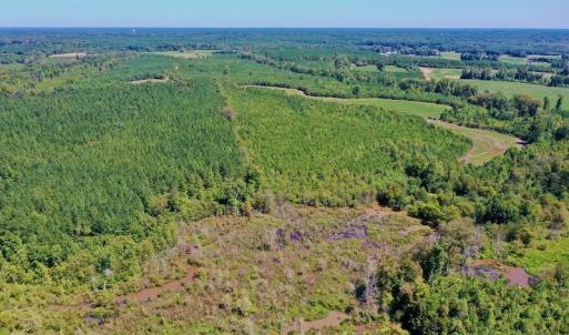 Photo #34 of SOLD property in Off Dennis Harris Rd, Macon, NC 138.1 acres