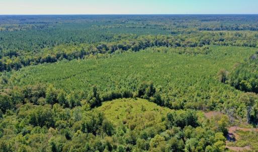 Photo #35 of SOLD property in Off Dennis Harris Rd, Macon, NC 138.1 acres