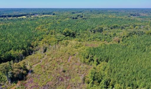 Photo #36 of SOLD property in Off Dennis Harris Rd, Macon, NC 138.1 acres
