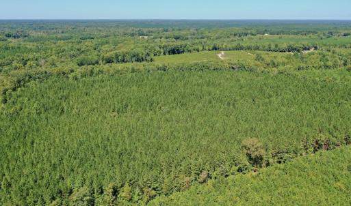 Photo #37 of SOLD property in Off Dennis Harris Rd, Macon, NC 138.1 acres