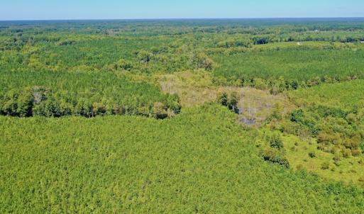 Photo #38 of SOLD property in Off Dennis Harris Rd, Macon, NC 138.1 acres