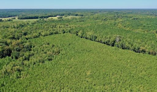 Photo #39 of SOLD property in Off Dennis Harris Rd, Macon, NC 138.1 acres
