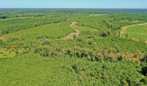 Photo #40 of SOLD property in Off Dennis Harris Rd, Macon, NC 138.1 acres