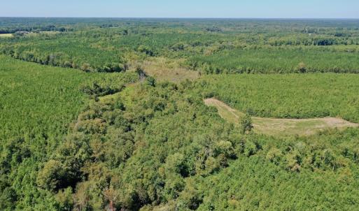 Photo #41 of SOLD property in Off Dennis Harris Rd, Macon, NC 138.1 acres