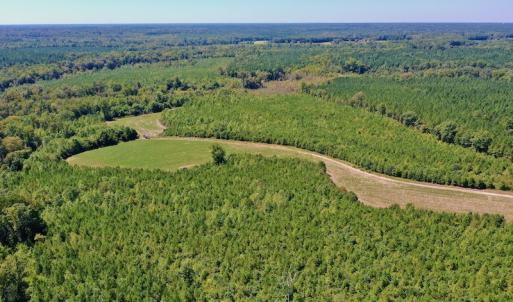 Photo #42 of SOLD property in Off Dennis Harris Rd, Macon, NC 138.1 acres