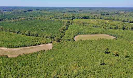Photo #43 of SOLD property in Off Dennis Harris Rd, Macon, NC 138.1 acres