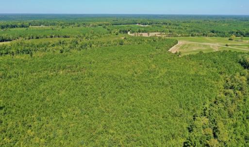 Photo #44 of SOLD property in Off Dennis Harris Rd, Macon, NC 138.1 acres