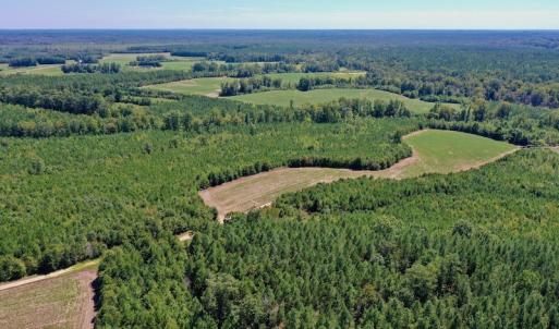 Photo #45 of SOLD property in Off Dennis Harris Rd, Macon, NC 138.1 acres