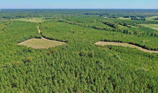 Photo #46 of SOLD property in Off Dennis Harris Rd, Macon, NC 138.1 acres