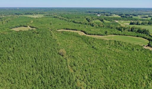 Photo #47 of SOLD property in Off Dennis Harris Rd, Macon, NC 138.1 acres