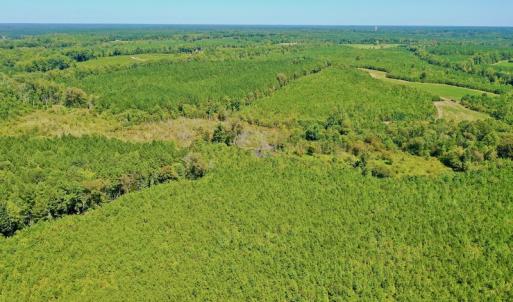 Photo #48 of SOLD property in Off Dennis Harris Rd, Macon, NC 138.1 acres