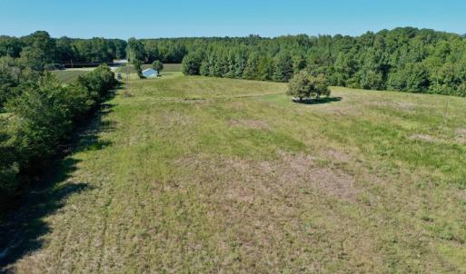 Photo #11 of Off Hwy 305, Rich Square, NC 30.1 acres