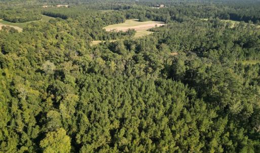 Photo #7 of SOLD property in Off Figure 9 Rd, Council, NC 6.5 acres