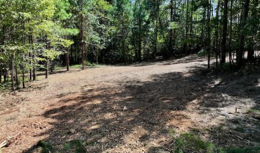 Photo #22 of SOLD property in Off Coon Myrick Rd, Littleton, NC 7.0 acres