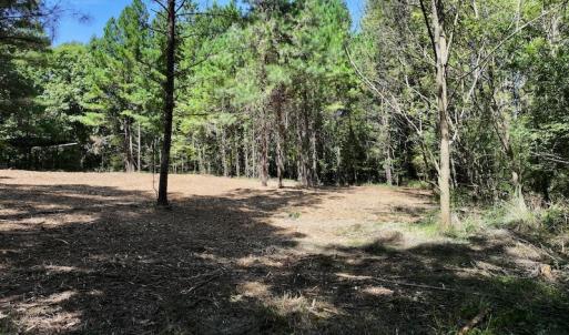 Photo #26 of SOLD property in Off Coon Myrick Rd, Littleton, NC 7.0 acres