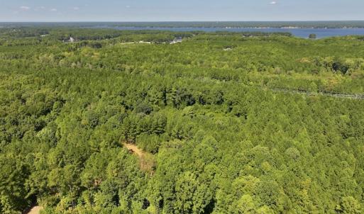 Photo #6 of SOLD property in Off Coon Myrick Rd, Littleton, NC 7.0 acres