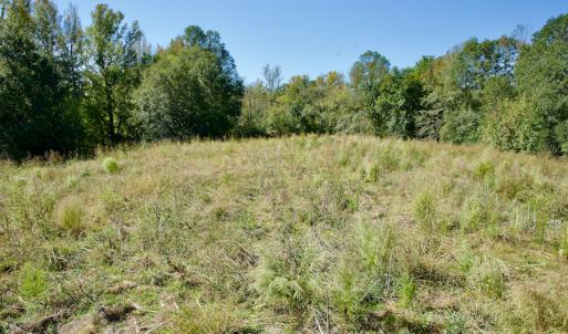 Photo #17 of Off Lowrys Road, Gaffney, SC 579.9 acres