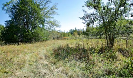 Photo #38 of Off Lowrys Road, Gaffney, SC 579.9 acres