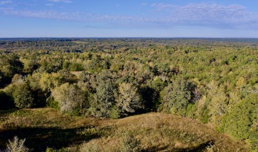 Photo #12 of Off Wilkinsville Hwy (Hwy 105), Gaffney, SC 579.6 acres