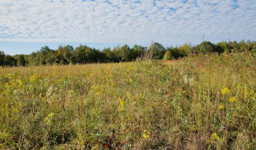 Photo #22 of Off Wilkinsville Hwy (Hwy 105), Gaffney, SC 579.6 acres