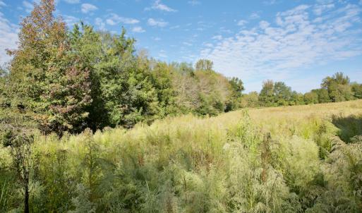 Photo #29 of Off Wilkinsville Hwy (Hwy 105), Gaffney, SC 579.6 acres