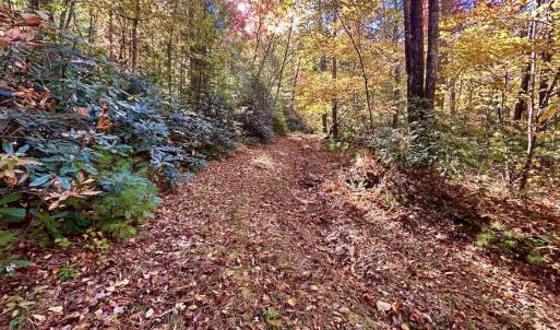 Photo #17 of SOLD property in Off Pole Bridge Rd, Stuart, VA 35.9 acres