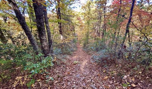 Photo #21 of SOLD property in Off Pole Bridge Rd, Stuart, VA 35.9 acres