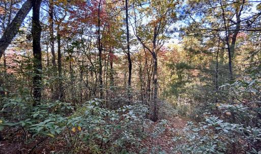 Photo #26 of SOLD property in Off Pole Bridge Rd, Stuart, VA 35.9 acres