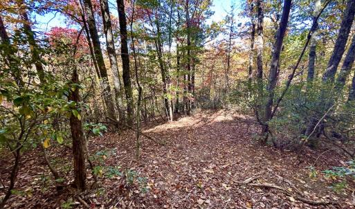 Photo #27 of SOLD property in Off Pole Bridge Rd, Stuart, VA 35.9 acres