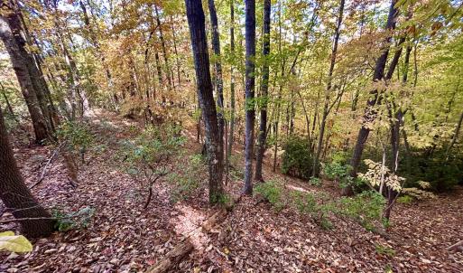 Photo #28 of SOLD property in Off Pole Bridge Rd, Stuart, VA 35.9 acres