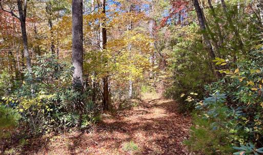 Photo #32 of SOLD property in Off Pole Bridge Rd, Stuart, VA 35.9 acres