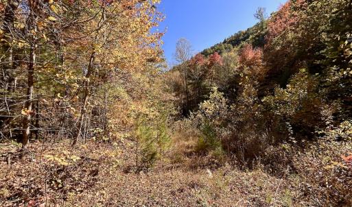 Photo #35 of SOLD property in Off Pole Bridge Rd, Stuart, VA 35.9 acres