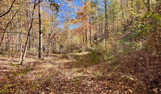 Photo #36 of SOLD property in Off Pole Bridge Rd, Stuart, VA 35.9 acres