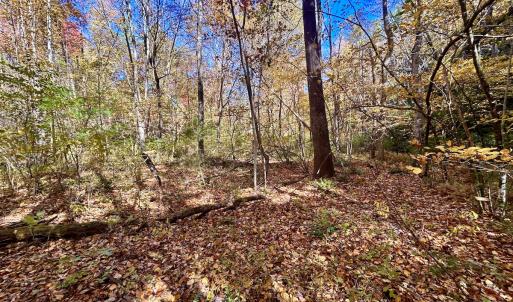 Photo #43 of SOLD property in Off Pole Bridge Rd, Stuart, VA 35.9 acres