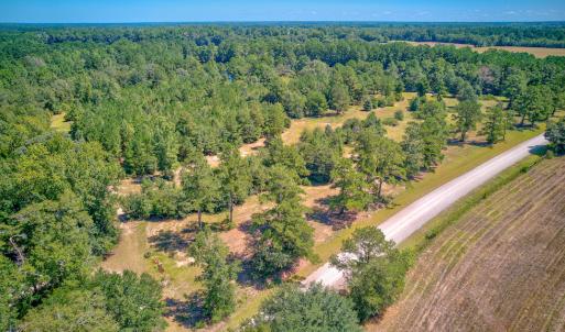 Photo #10 of SOLD property in Off Clark Road , Bladenboro, NC 6.0 acres