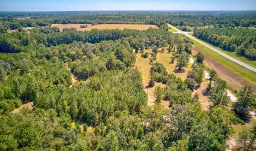 Photo #12 of SOLD property in Off Clark Road , Bladenboro, NC 6.0 acres