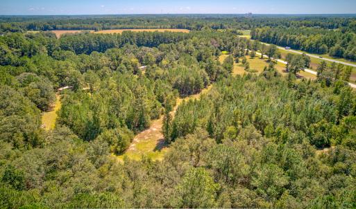Photo #13 of SOLD property in Off Clark Road , Bladenboro, NC 6.0 acres